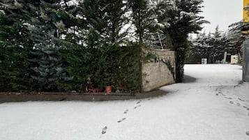 Park view