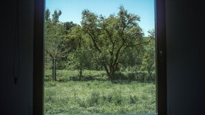 A window with a view of a tree-lined field. - House of Artists (Xullán)