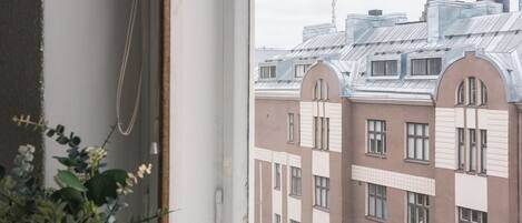 Ikkunasta avautuu näkymä rakennuksiin, ja ikkunalaudalla on ruukussa oleva kasvi.