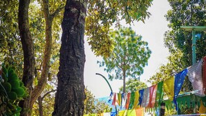 A pathway lined with trees and colorful prayer flags, leading to a sign indicating a kitchen cafe and bonfire area.