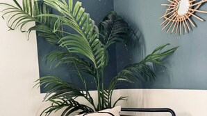 A corner room with a green chair, a small wooden stool, and a large potted plant. - Strathmore - City centre, close to University (Coventry)
