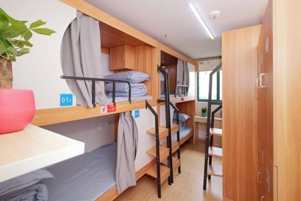 A dormitory room with bunk beds, a desk, and a plant.