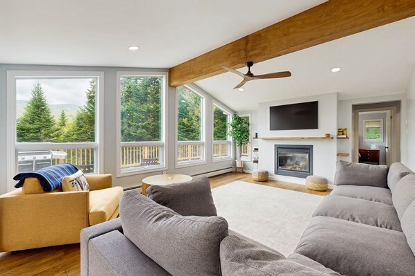 TV, fireplace, video games