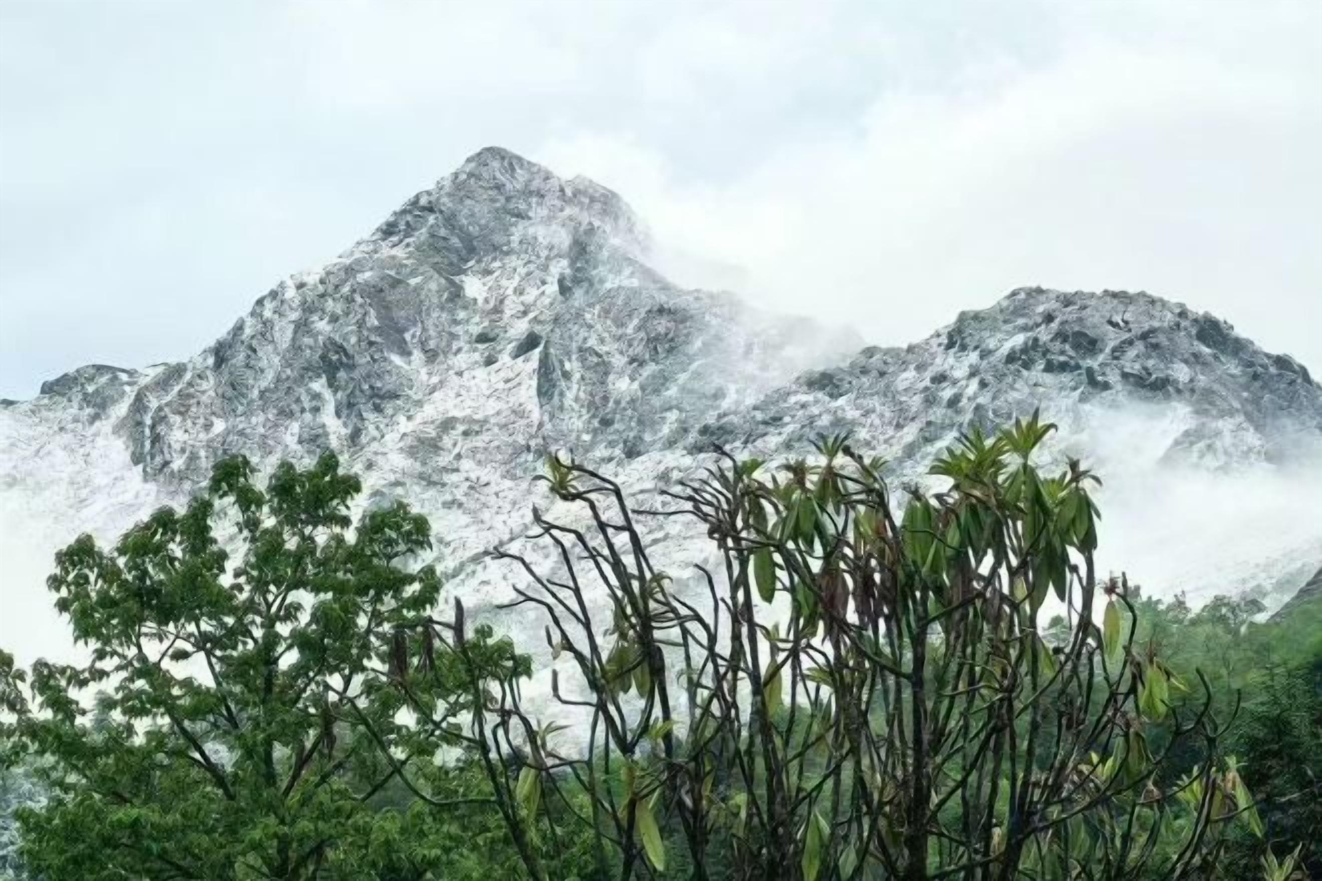 Ein Berg mit einem zerklüfteten Gipfel, umgeben von dichter Vegetation.