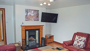 تلفزيون، مدفأة
