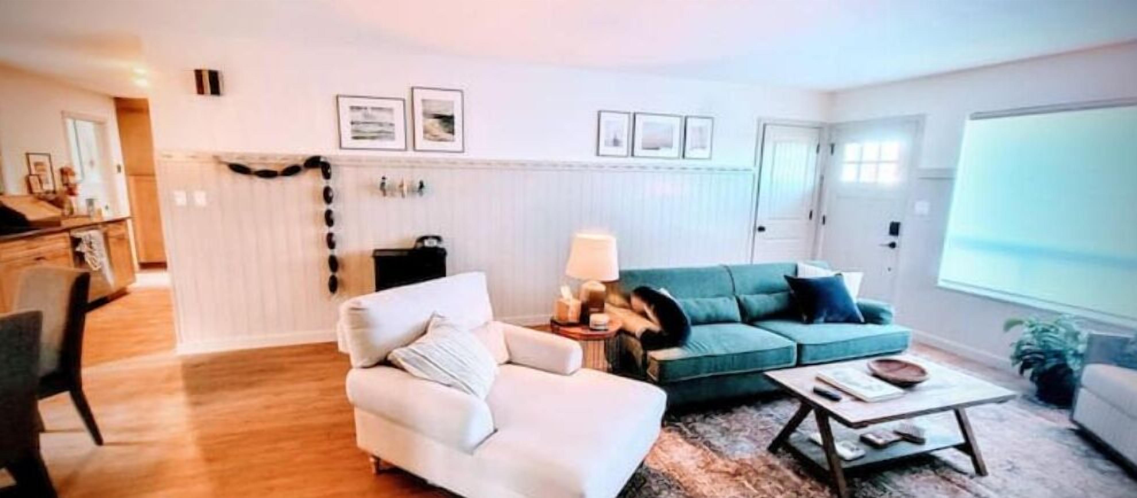 Smart TV, fireplace, video games, DVD player