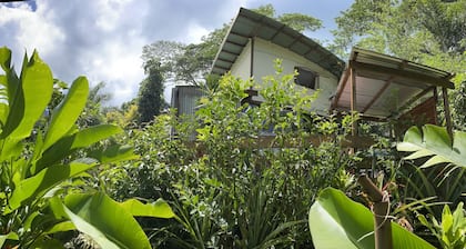 Experience Authentic Island Living: Your Home Away from Home in Moorea