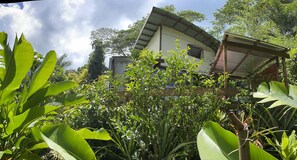 Property grounds - Experience Authentic Island Living: Your Home Away from Home in Moorea (Haapiti)