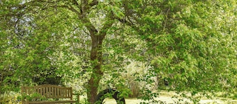 The Thatched Cottage - UK49600