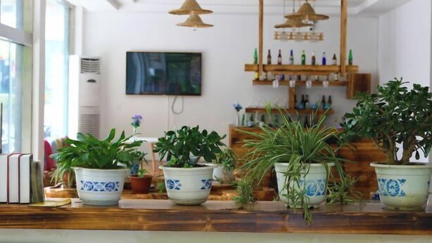 A well-lit room with large windows, a wooden table with potted plants, hanging wicker lamps, and a wall-mounted shelf with bottles. - Moment Inn (Huangshan City)