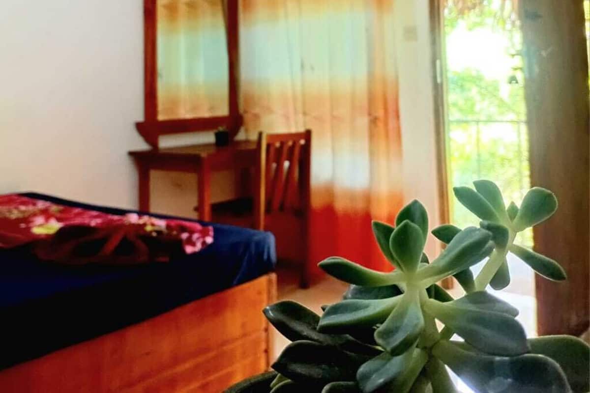 Dobbeltrom – deluxe, fjellutsikt | Wi-fi (inkludert) og sengetøy