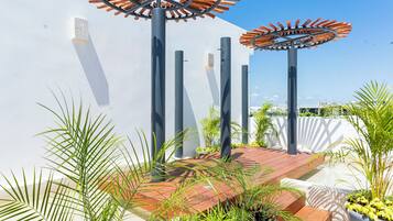 Terras