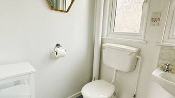 Shower, towels, toilet paper