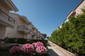 Property grounds - Bitzios Rent Houses
Mezoneta Neakitos 1 (Νικήτη)