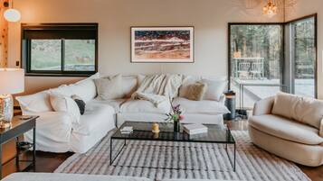 Smart TV, fireplace, books