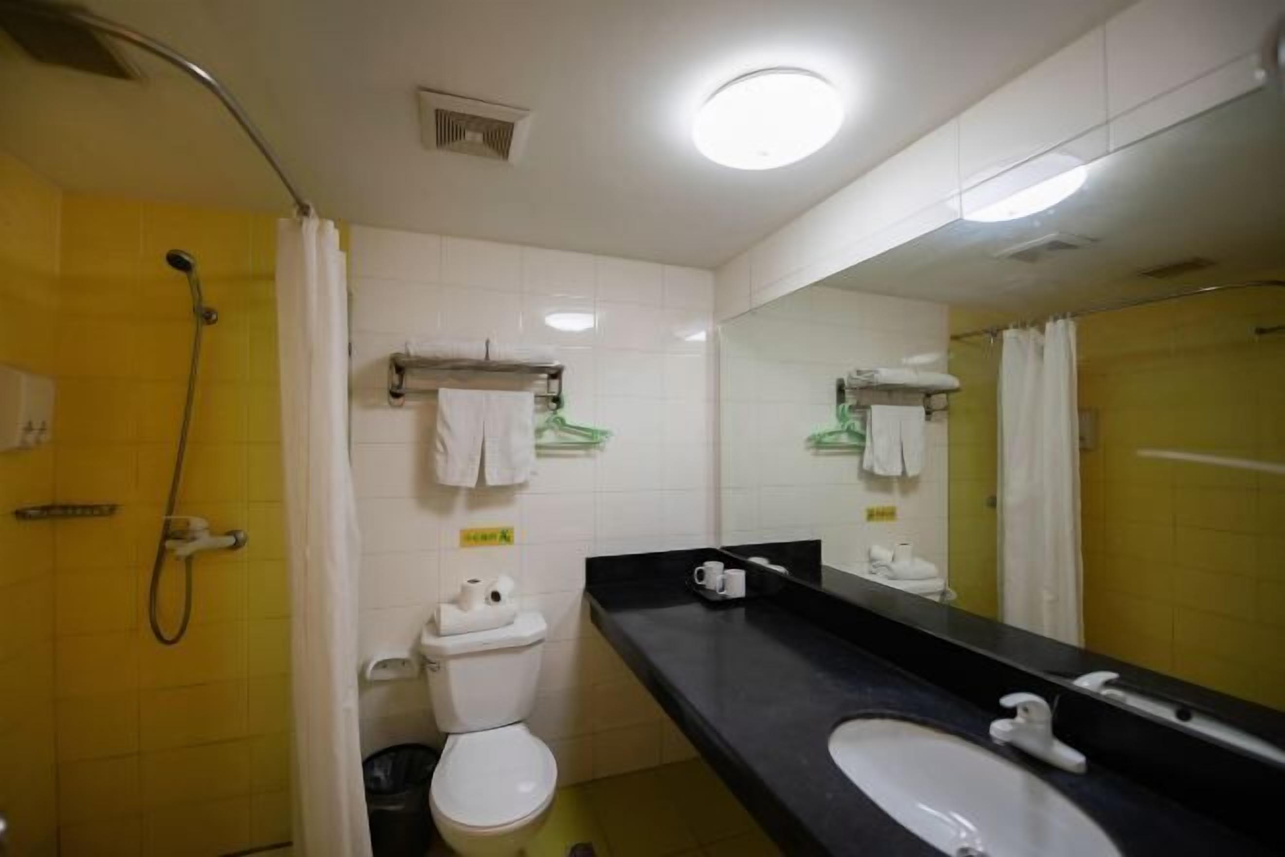 A bathroom with a shower, toilet, sink, and a large mirror.
