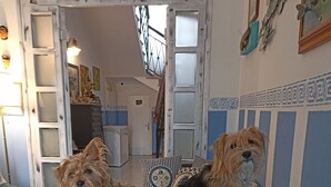 Deux chiens sont assis sur un canapé noir dans une pièce dont le mur est décoré d’un motif et où l’on aperçoit un escalier au fond.