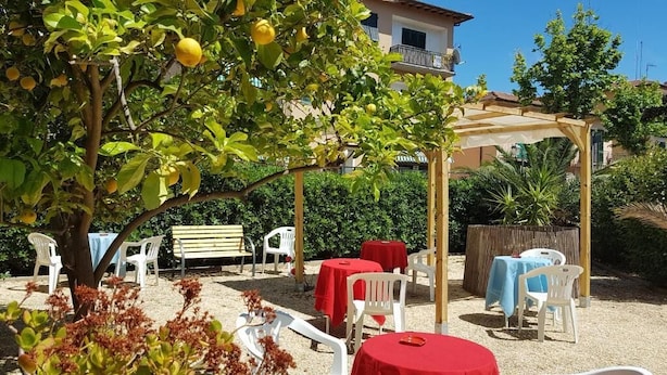 Un espace extérieur aménagé en terrasse, avec des tables et des chaises, une pergola et un citronnier.