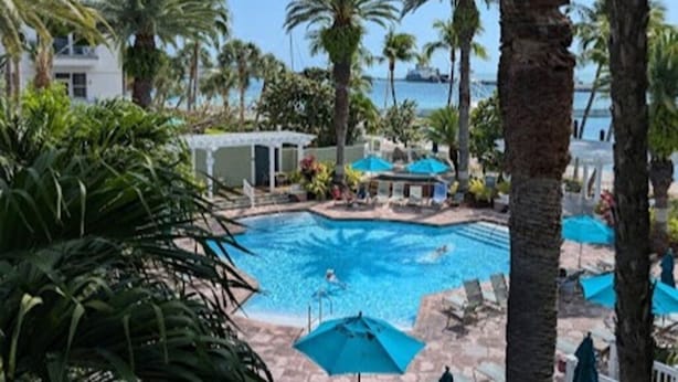A swimming pool surrounded by palm trees and lounge chairs, with a view of the ocean in the background. - Charming studio in Key West -Close to Duval.  Beautiful Pool area. (Key West)