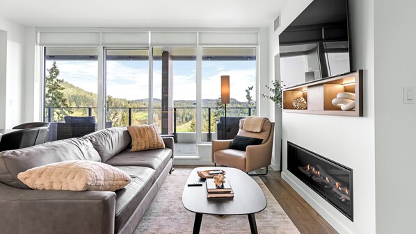 تلفزيون، مدفأة