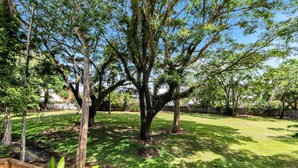 Un patio trasero con un árbol grande, una terraza de madera y un césped.
