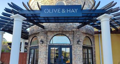 Charming 1Bed/1Bath Studio in the delightful Napa.