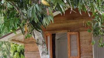 Detalle exterior