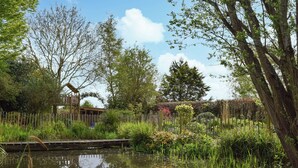 A serene garden with a pond, wooden fence, and various plants.