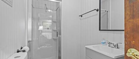 A bathroom with a glass shower door, a toilet, a sink, and a mirror.