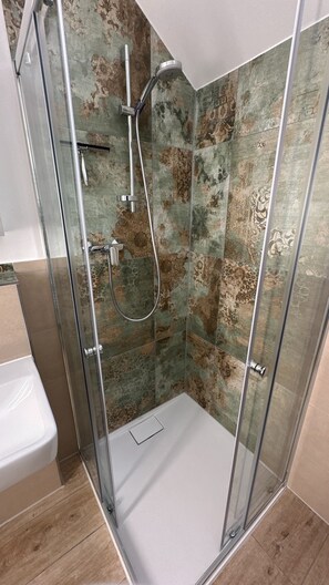 Shower, hair dryer
