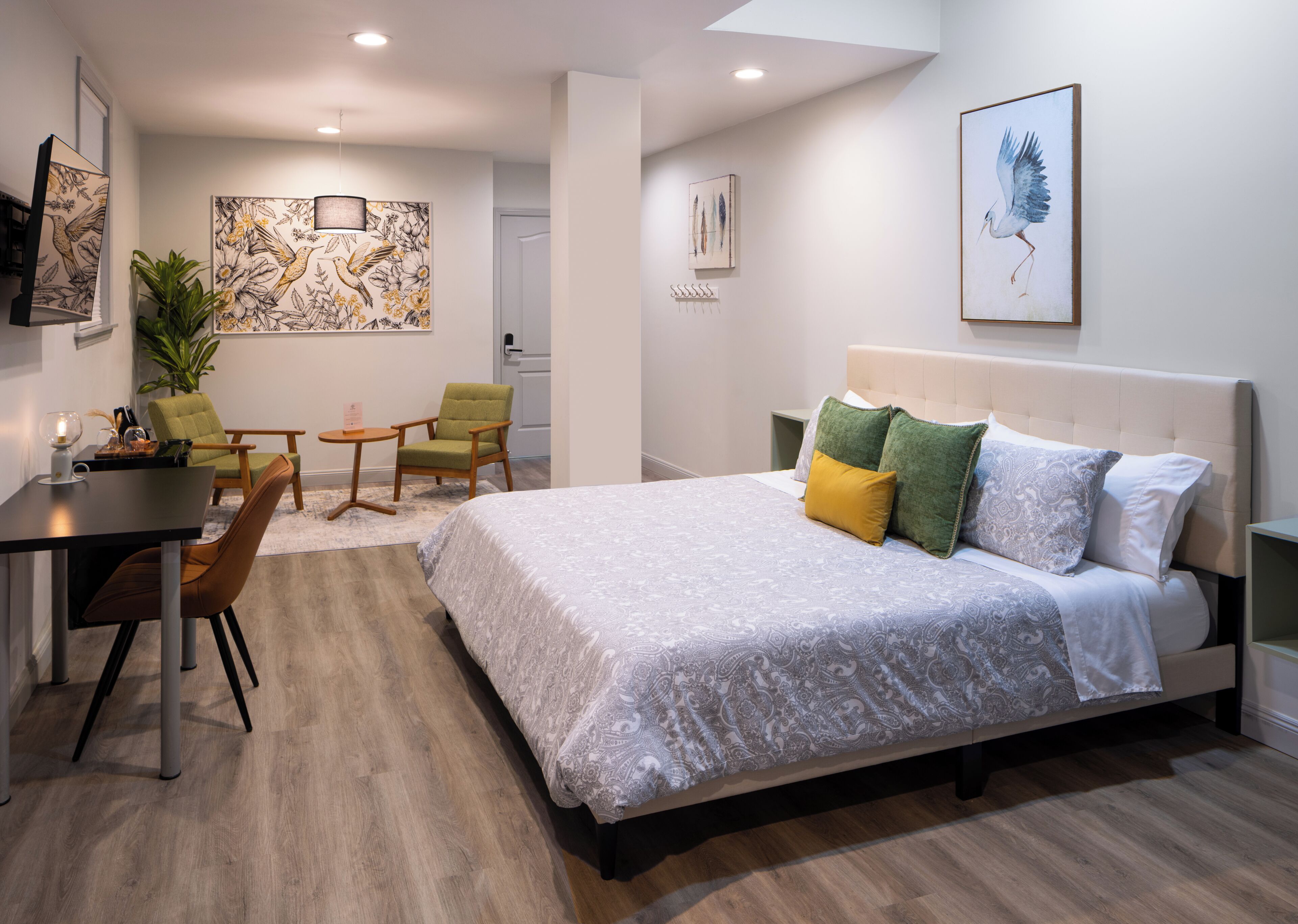 Standard Single Room, Mobility Accessible, No Windows