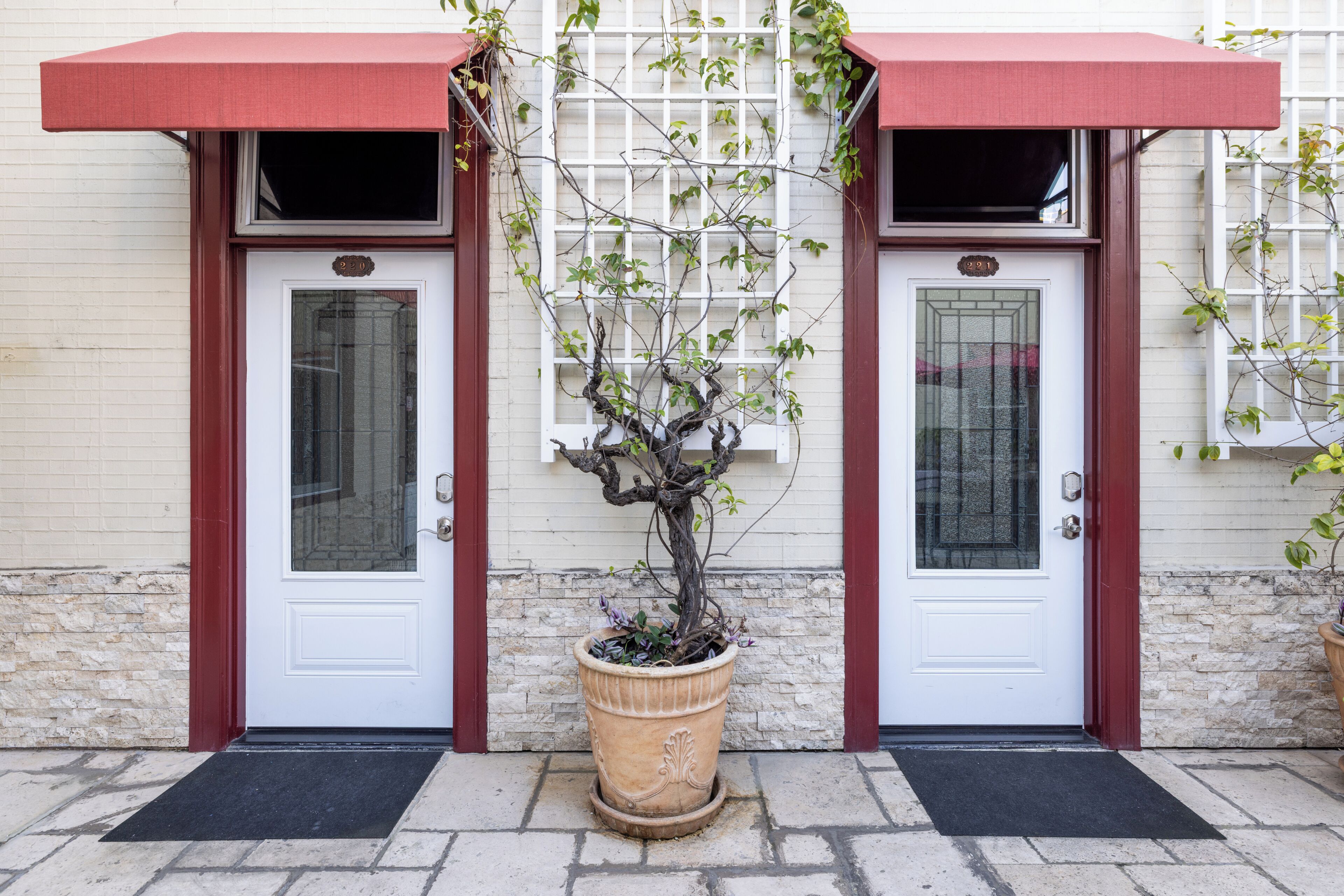 Un edificio con dos puertas blancas, cada una con un toldo rojo, y una planta en maceta al frente.