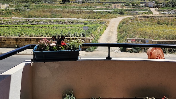 A balcony with potted plants, a view of a hillside with buildings, and a clear sky. - Country View Apartment (Mellieha)