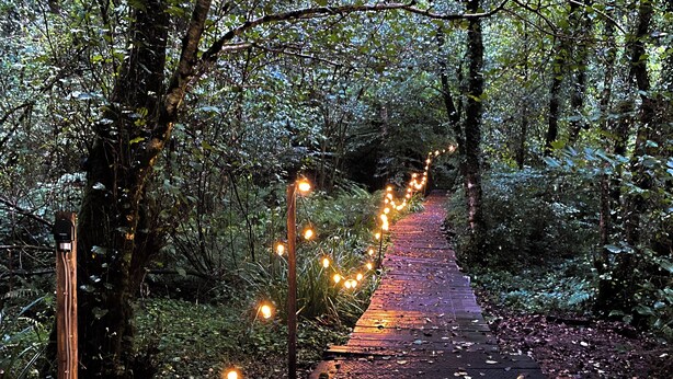 A wooden pathway in a forest with string lights.