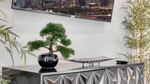 A modern living room with a bonsai tree on a black console table, a TV displaying a cityscape, and a decorative metal cabinet with geometric patterns.
