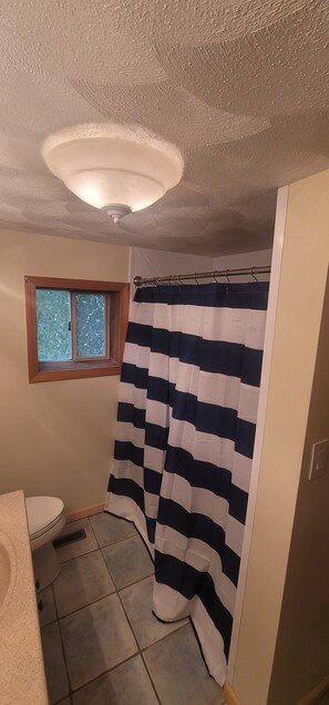 Un baño con cortina de ducha a rayas, una ventana con vistas y un inodoro.