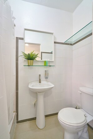 Deluxe Apartment, Non Smoking, Private Bathroom | Bathroom | Shower, towels, soap, shampoo