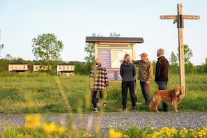 Animaux de compagnie acceptés
