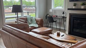 Smart TV, fireplace, books