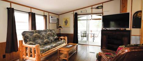 TV, fireplace, DVD player