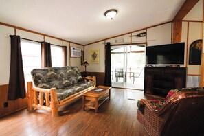 TV, fireplace, DVD player