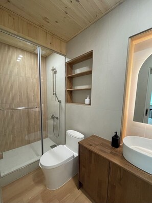 Shower, hair dryer, towels, soap