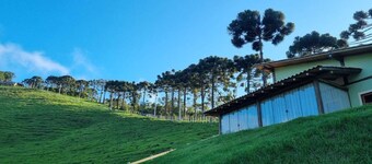 The Green House of Cunha