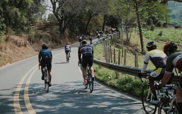 A group of cyclists on a paved road with a fence on one side and trees on the other. - The Green House of Cunha (Sao Paulo)