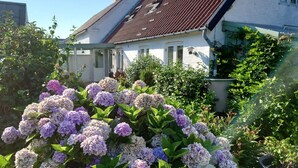 A residential house with a garden full of hydrangea flowers. - Cozy fisherman's house near the sea (Rønne)