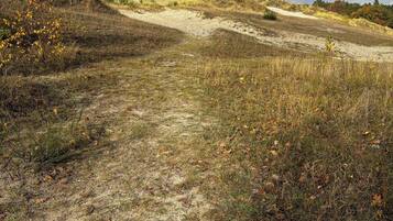Un paisaje natural con un sendero de tierra, zonas cubiertas de hierba y árboles.