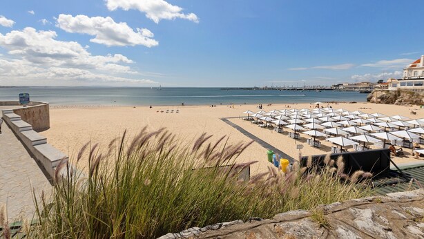A beach with umbrellas and lounge chairs, a clear sky, and a distant pier.