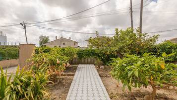 Un camí pavimentat que condueix a una casa amb jardí, envoltat per pals de serveis i línies elèctriques.