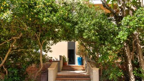 A staircase leading to a building entrance, surrounded by greenery and a brick wall.