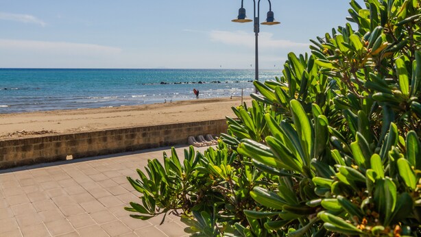 A beach with a paved walkway, a lamp post, and green foliage in the foreground.